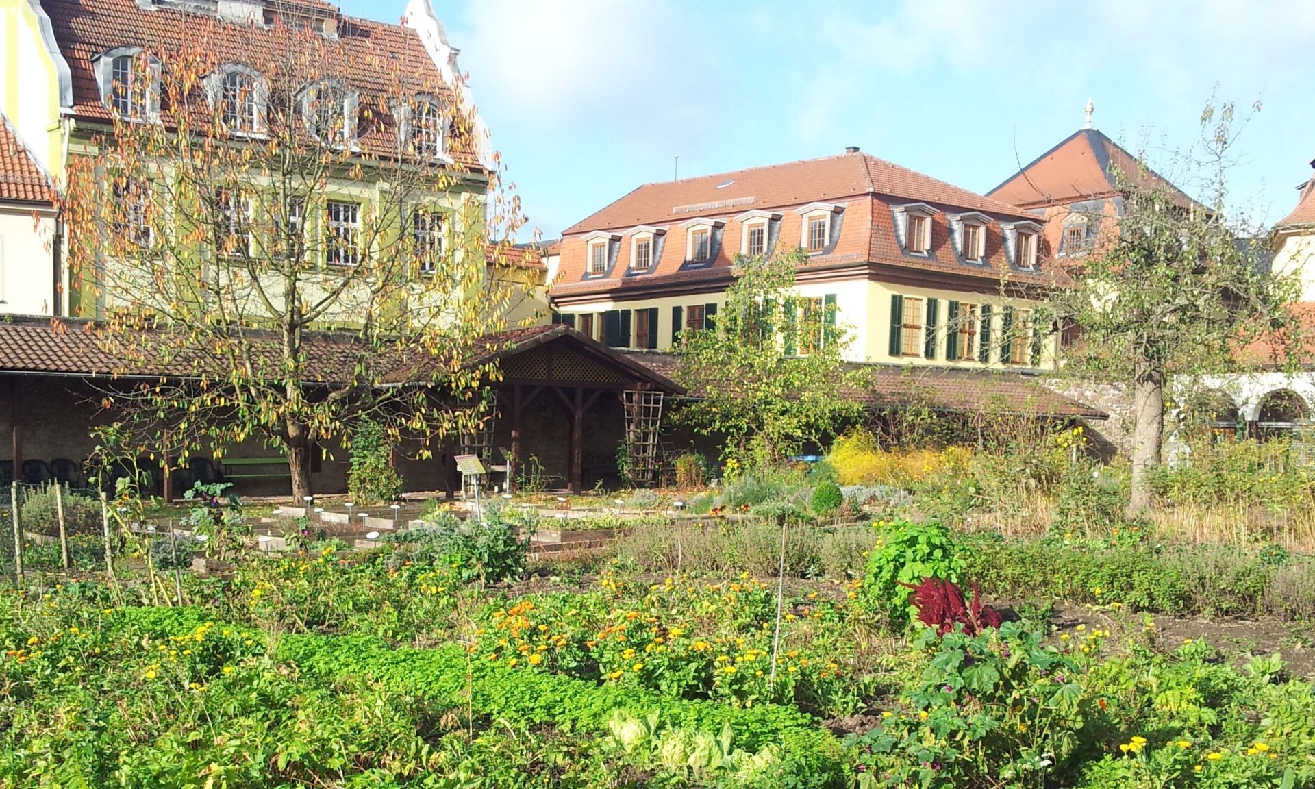 Garden secrets from the monastery Garden secrets from the monastery